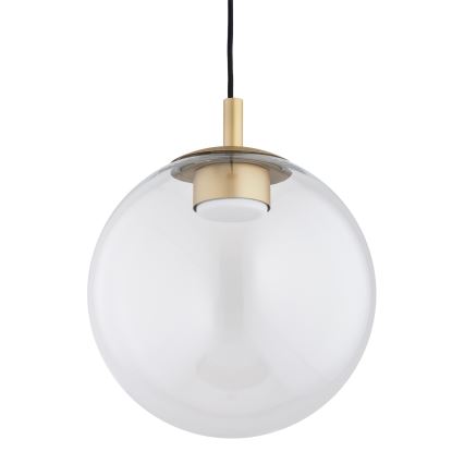 Argon 8828 - Kattokruunu johdossa SACRAMENTO 1xGX53/8W/230V läpinäkyvä/kulta