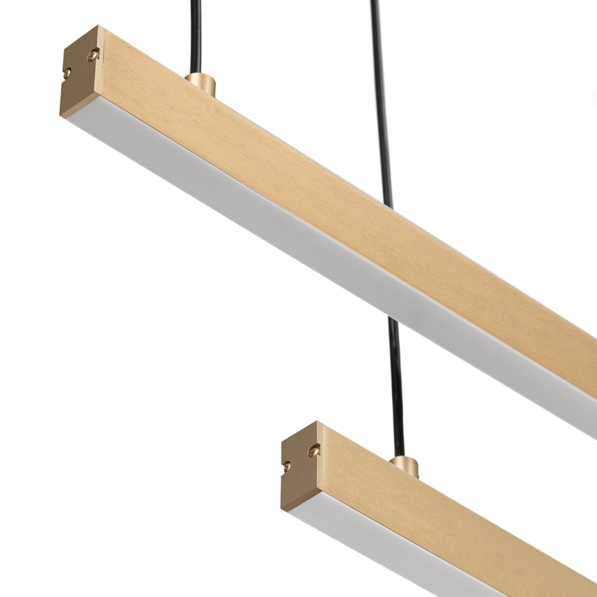Argon 8839 - LED-kattokruunu johdossa MIAMI LED/74W/230V 3000K kulta
