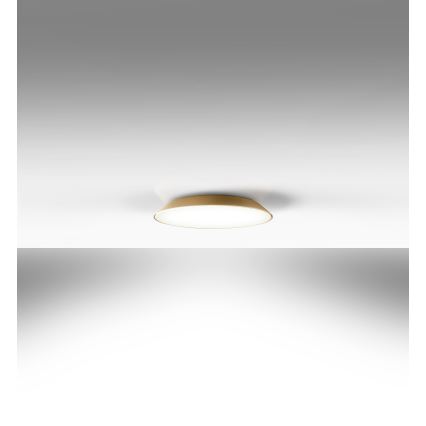 Artemide AR 0241320A - LED-kattovalaisin FEBE 4xLED/30W/230V