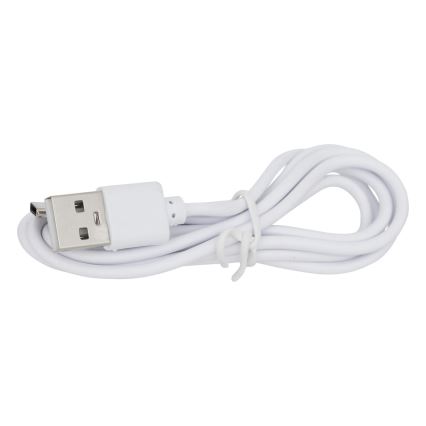 Atmosphera - LED RGBW Ladattava ulko pöytävalaisin ZACK LED/3,7V 1200 mAh IP44 beige