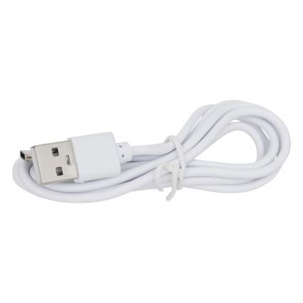 Atmosphera - LED RGBW Ladattava ulko pöytävalaisin ZACK LED/3,7V 1200 mAh IP44 turkoosi