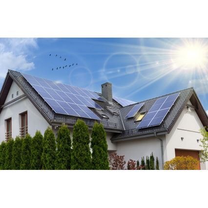 Aurinkopaneeli RISEN 450Wp IP68 - Määräalennus