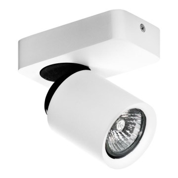 Azzardo AZ0662 - Kohdevalo TOMI 1xGU10/50W/230V