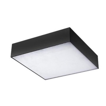 Azzardo AZ2274 - LED-kattovalaisin MONZA SQUARE 1xLED/50W/230V