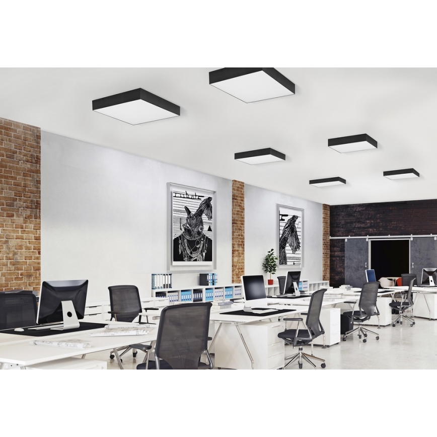 Azzardo AZ2275 - LED-kattovalaisin MONZA SQUARE 1xLED/50W/230V