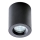 Azzardo AZ2558 - Ulkokattovalo ARO 1xGU10/50W/230V IP54