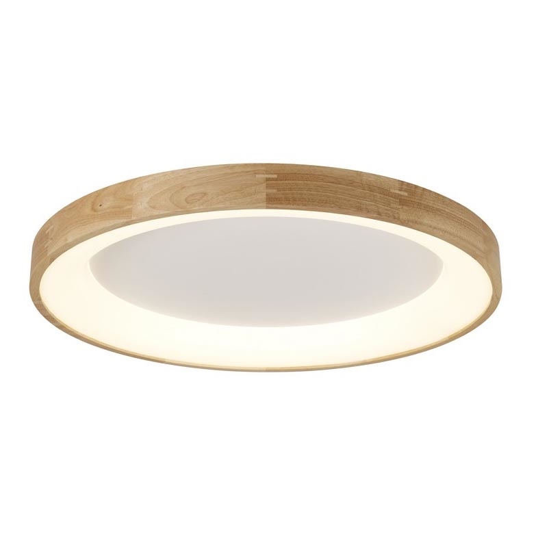 Azzardo AZ2698 - LED-kattovalaisin SILVAM 1xLED/50W/230V