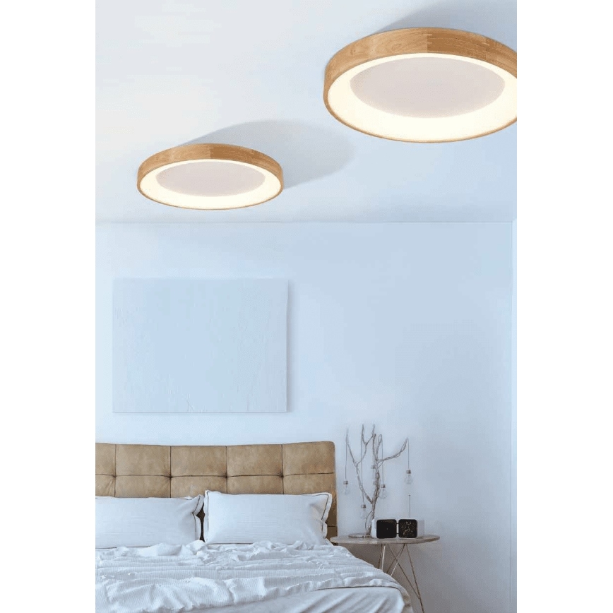 Azzardo AZ2698 - LED-kattovalaisin SILVAM 1xLED/50W/230V