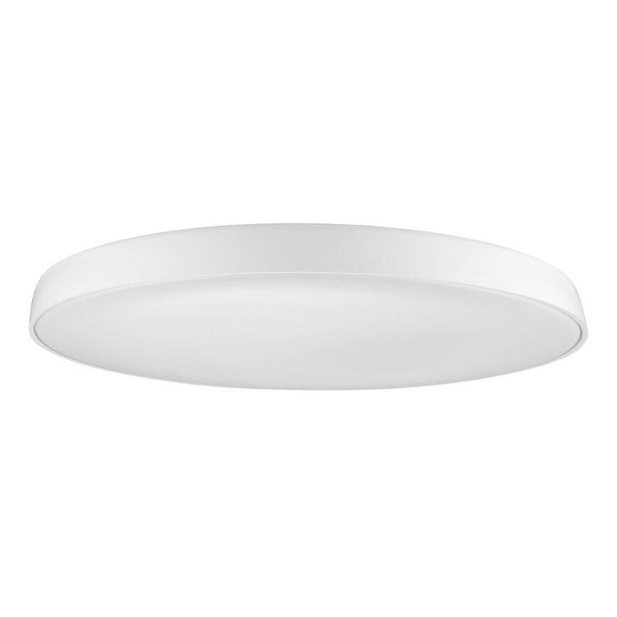 Azzardo AZ2739 - LED-kattovalaisin CORTONA 1xLED/50W/230V 4000K