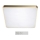 Azzardo AZ2760 - Himmennettävä LED-kattovalaisin QUADRO 1xLED/60W/230V+ kauko-ohjaus