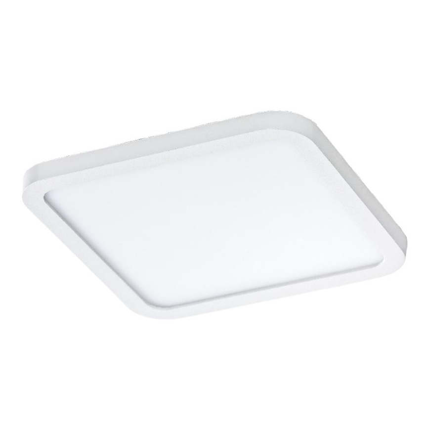 Azzardo AZ2837 - LED Kylpyhuoneen upotettava valo SLIM 1xLED/12W/230V IP44 CRI 90
