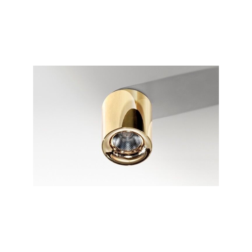 Azzardo AZ2846 - LED-kattovalaisin MANE 1xLED/10W/230V