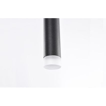 Azzardo AZ3155 - LED Kattokruunu johdossa LOUISE LED/3W/230V