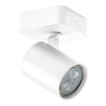 Azzardo AZ3194 - Seinävalaisin EXO 1xGU10/35W/230V