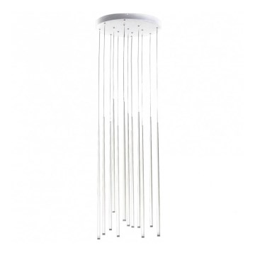 Azzardo AZ3421 - LED-kattokruunu narussa LOUISE 12xLED/3W/230V valkoinen
