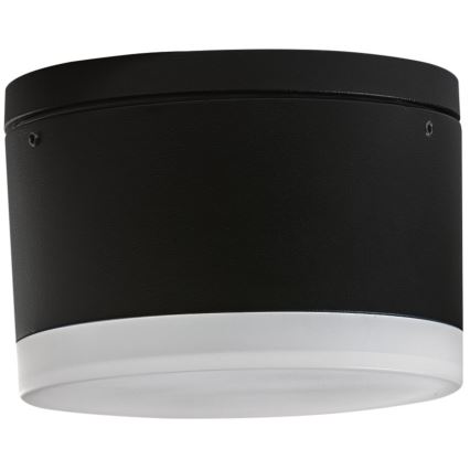 Azzardo AZ4333 - LED Ulkokattovalo APULIA LED/10W/230V IP54