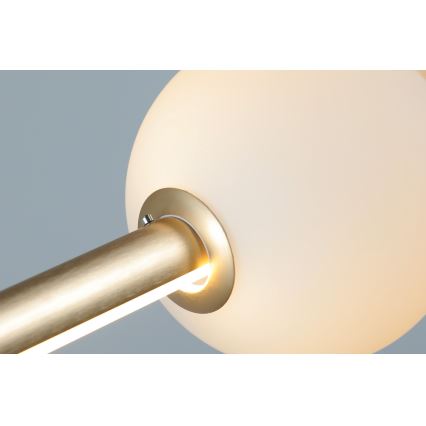 Azzardo AZ4427 - LED Himmennettävä kattokruunu johdossa SANDRA LED/48W/230V kulta