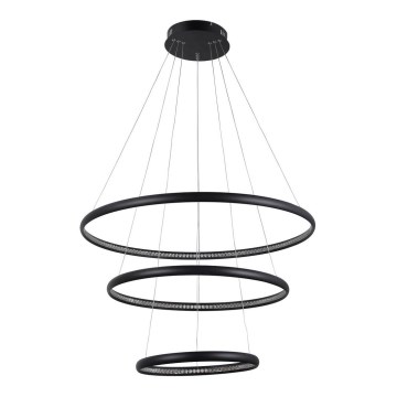 Azzardo AZ4428 - LED-kattokruunu narussa BRIGHTON LED/55W/230V musta