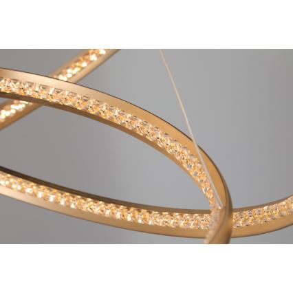 Azzardo AZ4429 - LED-kattokruunu johdossa BRIGHTON LED/55W/230V kulta