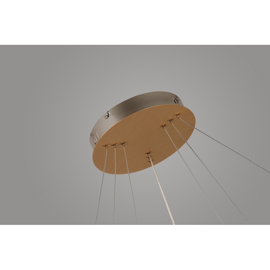 Azzardo AZ4429 - LED-kattokruunu johdossa BRIGHTON LED/55W/230V kulta