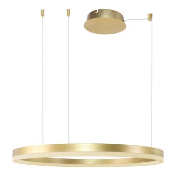 Azzardo AZ4961 - LED himmennettävä riippuvalaisin HALO LED/56W/230V, halkaisija 80 cm, kulta