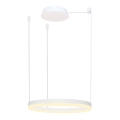 Azzardo AZ4967 - Himmennettävä LED-kattokruunu johdossa HALO LED/47W/230V halkaisija 60 cm valkoinen