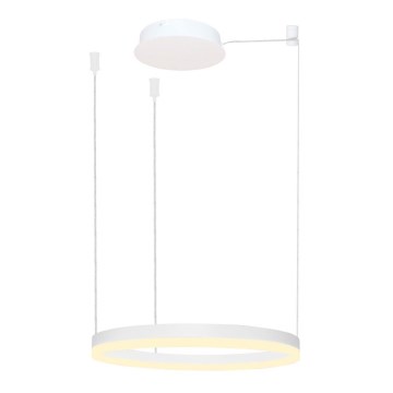 Azzardo AZ4967 - Himmennettävä LED-kattokruunu johdossa HALO LED/47W/230V halkaisija 60 cm valkoinen
