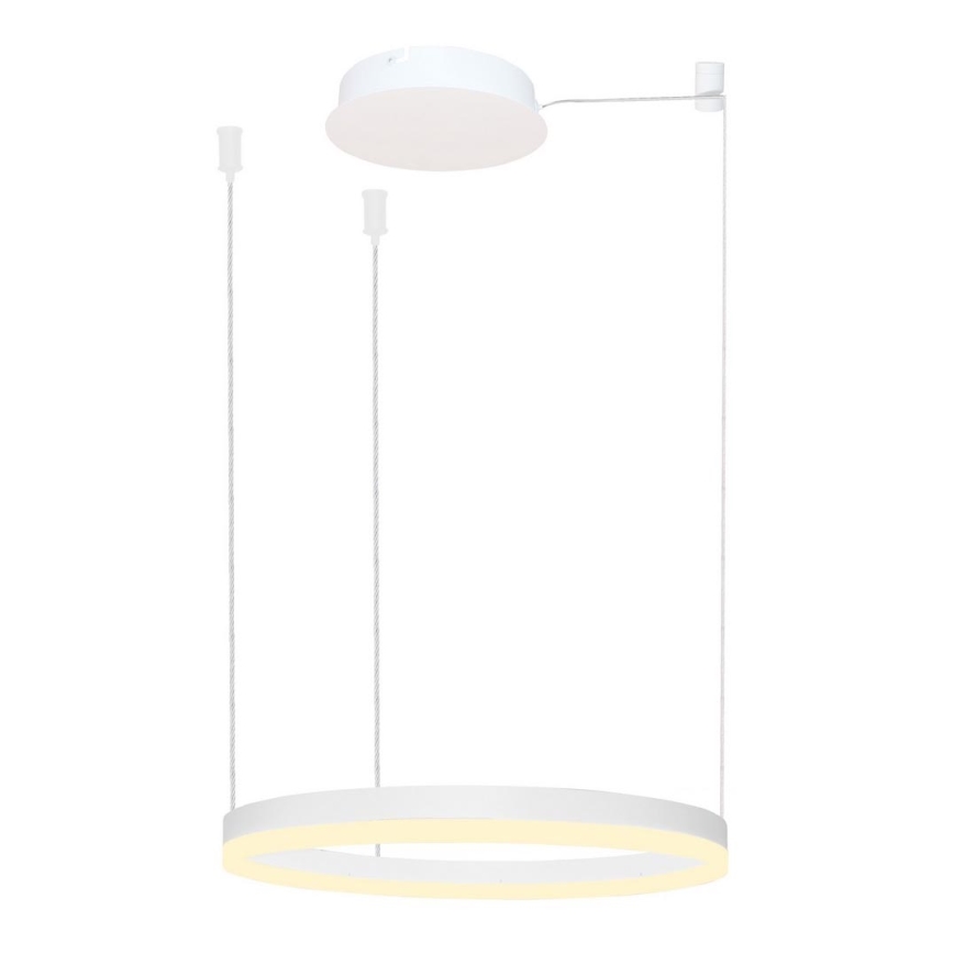 Azzardo AZ4967 - Himmennettävä LED-kattokruunu johdossa HALO LED/47W/230V halkaisija 60 cm valkoinen