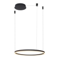 Azzardo AZ4968 - LED himmennettävä riippuvalaisin HALO LED/47W/230V, halkaisija 60 cm, musta