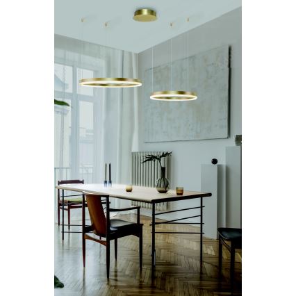 Azzardo AZ4979 - Himmennettävä LED-kattokruunu johdossa HALO LED/90W/230V kulta + kauko-ohjaus