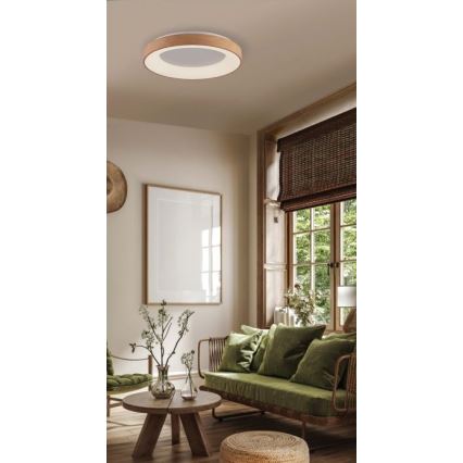 Azzardo AZ4988 - LED-kattovalaisin SANTANA LED/30W/230V kulta