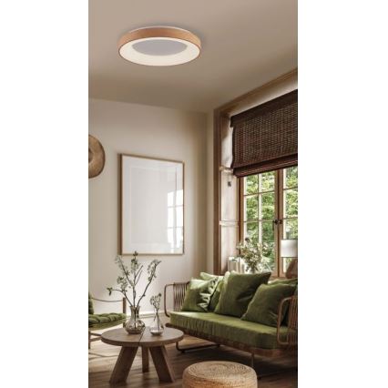 Azzardo AZ4989 - LED-kattovalaisin SANTANA LED/30W/230V ruskea