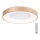 Azzardo AZ4992 - LED himmennettävä kattovalaisin SANTANA LED/50W/230V kulta + kaukosäädin