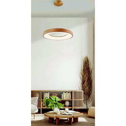 Azzardo AZ5010 - Himmennettävä LED-kattokruunu johdossa SANTANA LED/50W/230V ruskea + kauko-ohjaus