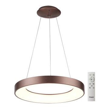 Azzardo AZ5011 - Himmennettävä LED-kattokruunu johdossa SANTANA LED/80W/230V ruskea + kauko-ohjaus