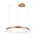 Azzardo AZ5017 - Himmennettävä LED-kattokruunu johdossa AGNES LED/38W/230V halkaisija 48 cm kulta