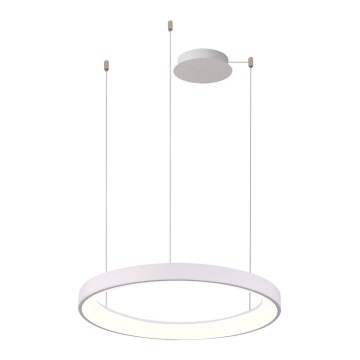 Azzardo AZ5018 - Himmennettävä LED-kattokruunu johdossa AGNES LED/48W/230V halkaisija 58 cm valkoinen