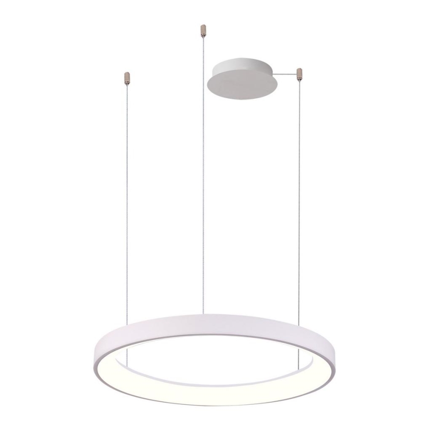 Azzardo AZ5018 - Himmennettävä LED-kattokruunu johdossa AGNES LED/48W/230V halkaisija 58 cm valkoinen
