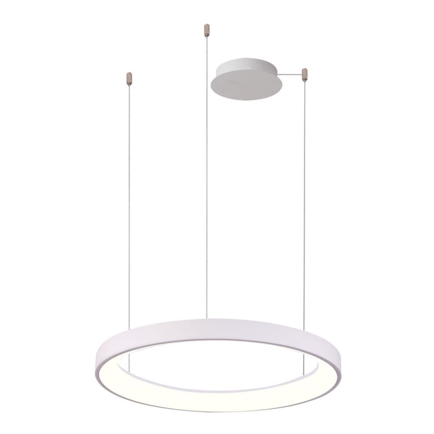 Azzardo AZ5021 - Himmennettävä LED-kattokruunu johdossa AGNES LED/60W/230V halkaisija 78 cm valkoinen