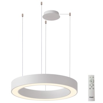 Azzardo AZ5043 - Himmennettävä LED-kattokruunu johdossa MARCO LED/50W/230V valkoinen + kauko-ohjaus