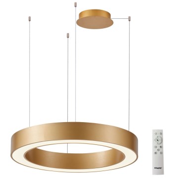 Azzardo AZ5054 - Himmennettävä LED-kattokruunu johdossa MARCO LED/100W/230V kulta + kauko-ohjaus
