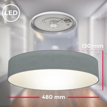 B.K. Licht 1393 - LED-kattovalaisin LED/20W/230V harmaa