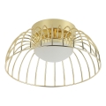 BETSY LED - 12W/230V LED-kattovalaisin, 25 cm, kulta