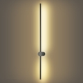 Brilagi - AURA LED-ulkoseinävalaisin 20 W/230 V 3000 K IP54 97 cm antrasiitti