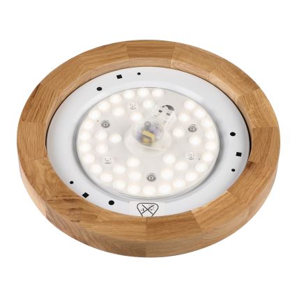 Brilagi - BELLADONNA LED-kattovalaisin 20W/230V halkaisija 30 cm valkoinen/tammi