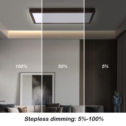 Brilagi - Himennettävä LED-kattovalaisin kylpyhuoneeseen FRAME SMART LED/30W/230V 30x60 cm 3000-6000K IP44 musta + kaukosäädin