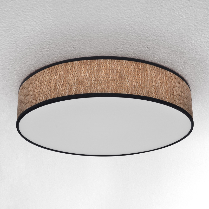 Brilagi - LED himmennettävä kattovalaisin ADELA LED/48W/230V 3000-6500K Ø 40 cm + kaukosäädin