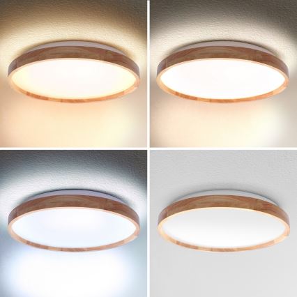 Brilagi - LED himmennettävä kattovalaisin ALSON LED/48W/230V 3000-6500K tammi Ø 39,5 cm + kaukosäädin