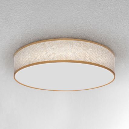 Brilagi - Himmennettävä LED-kattovalaisin CARMEN LED/48W/230V 3000-6500K Ø 40 cm + kaukosäädin