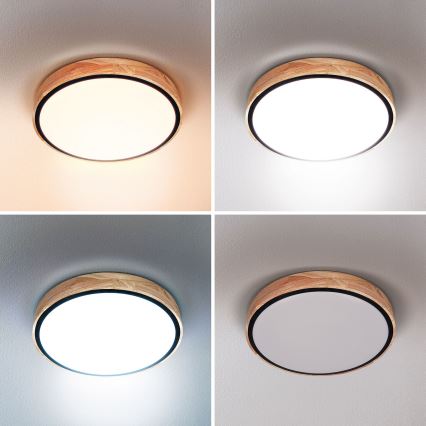 Brilagi - himmennettävä LED-kattovalaisin GLORIA LED/48W/230V 3000-6500K tammi Ø 40 cm + kaukosäädin
